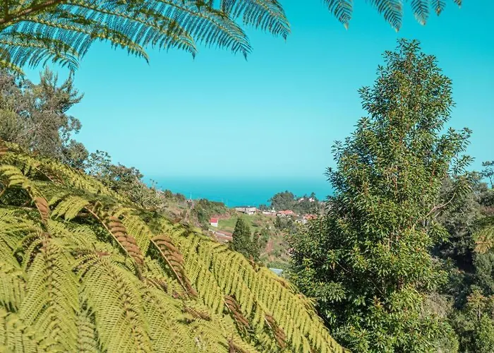 Vakantiehuis Quintinha De Sao Jorge *